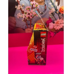 LEGO Ninjago Kapsuła Gracza 71714