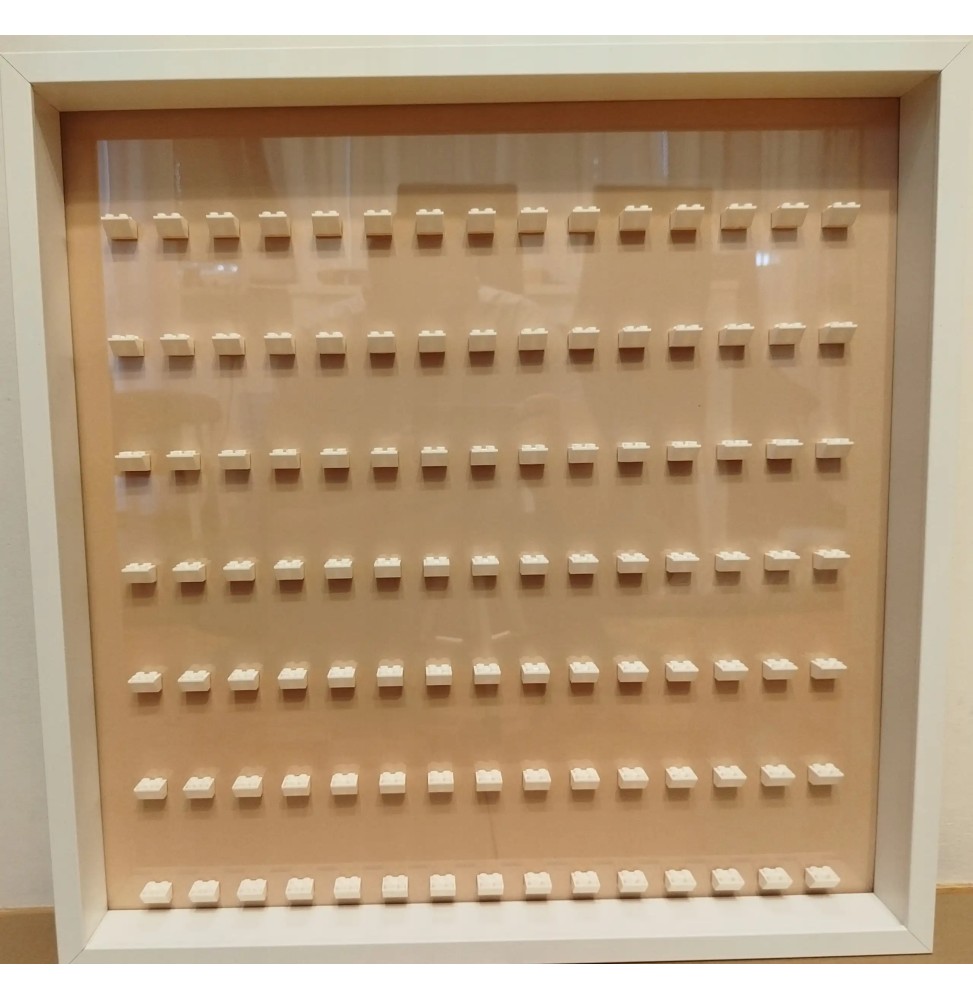 Large LEGO Frame for 105 Figures with Changeable Background