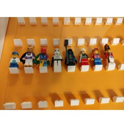 Large LEGO Frame for 105 Figures with Changeable Background