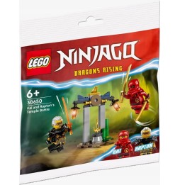 LEGO 30650 Ninjago Lupta lui Kai și Rapton