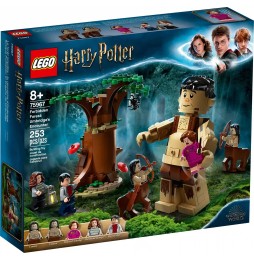 LEGO Harry Potter Pădurea Interzisă 75967