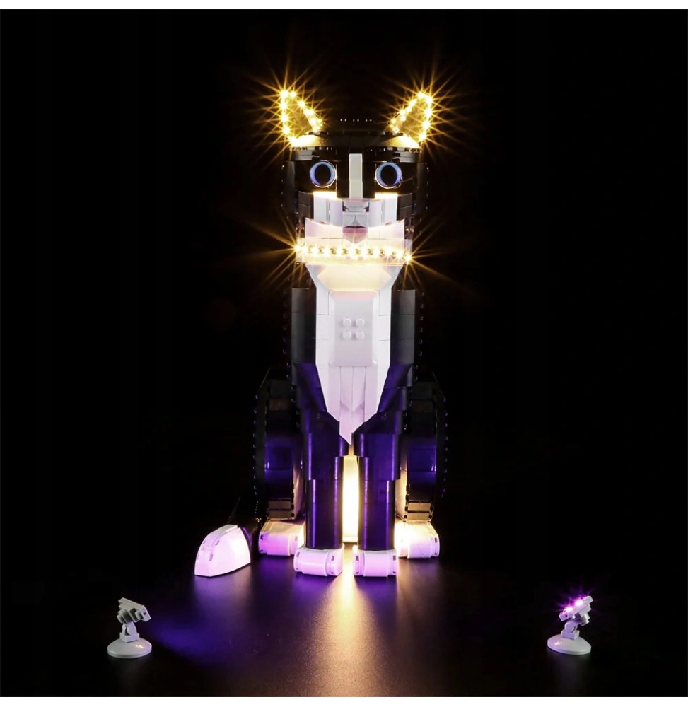 LED Lighting for LEGO Black and White Cat 21349