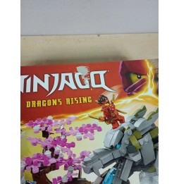 LEGO Ninjago 71819 Świątynia Smoczego Kamienia