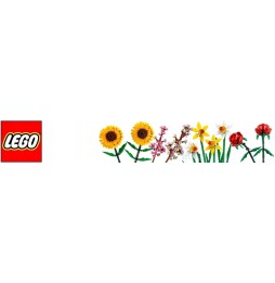 LEGO Icons Ornament inimă 40638