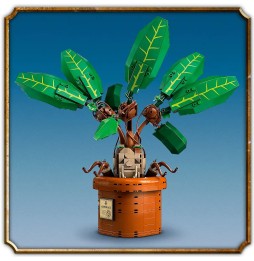 LEGO Harry Potter Mandragora - Zestaw 76433