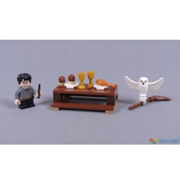 LEGO 30420 Harry Potter și bufnița Hedwiga