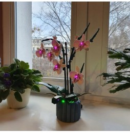 LED Lighting for LEGO Orchidea 10311