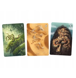 Dragons Card Game for Families 6+