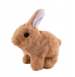 Interactive Brown Rabbit