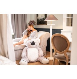 Duży pluszowy miś koala 160 cm