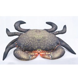 Perna Gaby Crab Muds 60cm