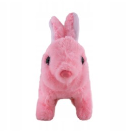 Interactive Pink Bunny That Walks