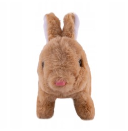 Interactive Brown Rabbit