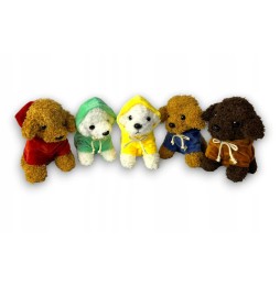 Plush Dog in Hoodie - Ideal Gift