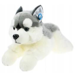 Maskotka piesek husky DUBI 61 cm