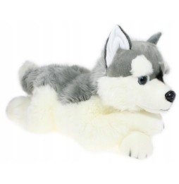 Jucărie Husky DUBI 61 cm