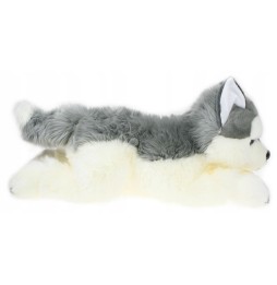 Maskotka piesek husky DUBI 61 cm